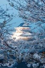 91麻豆大神-解锁91麻豆大神的独特魅力和创意空间