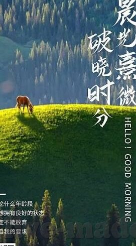 av日韩一区在线-探索日韩影视文化的多元魅力，AV日韩一区在线的深度视角