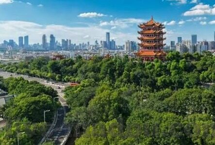 大象传媒APP破解下载-探索大象传媒APP的数字世界，合法途径与内容价值