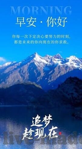 麻豆直播下载app下载-麻豆直播APP的全面解读，从功能使用到注意事项