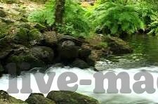 糖心vlog旧版入口-追溯往日时光，重新邂逅糖心Vlog旧版之旅