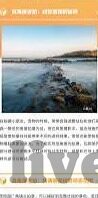 亚洲成人在线视频播放-亚洲成人在线视频播放，文化、社会与法律视角的深度探讨