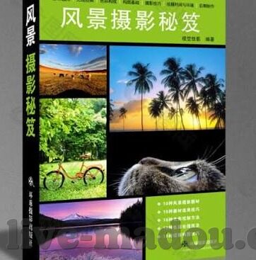 亚洲国产麻豆视频-体验亚洲魅力，直击国产麻豆的文化与艺术交流