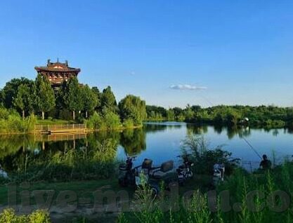 最新在线成人视频-最新在线成人视频，探索数字时代下的文化与伦理边界